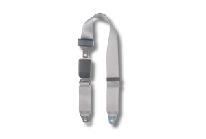 Seatbelt Planet - 2000-2003 Ford F-250, Crew Cab, Rear Center Seat Belt