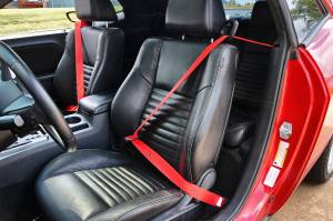 Seatbelt Planet - 2016-2019 Dodge Challenger, Driver and Passenger - Image 11
