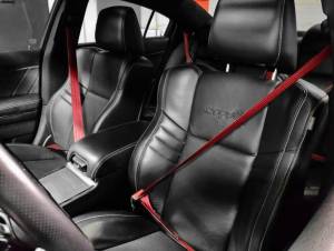 Seatbelt Planet - 2017 Dodge Charger, Full Vehicle, Retractor Sides - Image 6