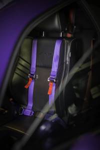 2008-2019 Dodge Challenger, Ninja Harness