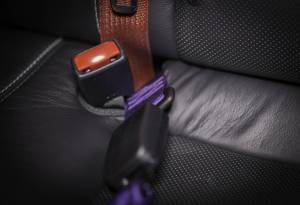 2006-2019 Dodge Charger, Ninja Harness