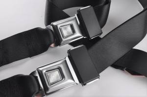 Reweb Service - Non-Retractable Lap Seat Belt