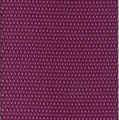 21 - Fuchsia