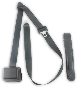 Shop by Vehicle - Forest River - Seatbelt Planet - 2004-2020 Forest River Georgetown, Driver or Passenger, Seat Belt