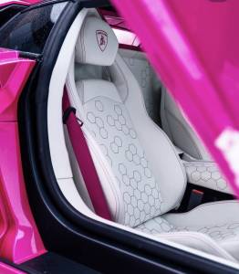 Seatbelt Planet - Custom Printed Webbing - Image 4